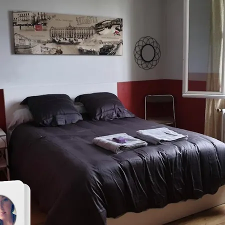 La Libellule 5 2 Sdb 2 Wc Grand Jardin Et Parking Prive * Toulouse