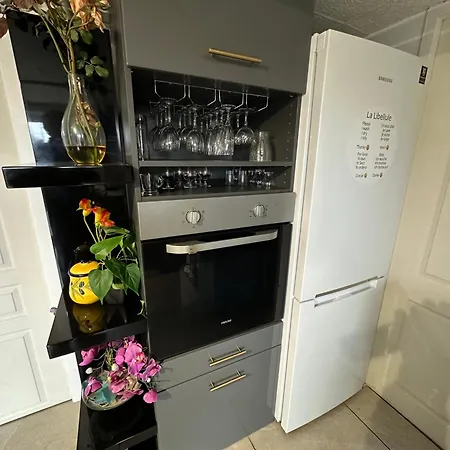 La Libellule 5 2 Sdb 2 Wc Grand Jardin Et Parking Prive Toulouse