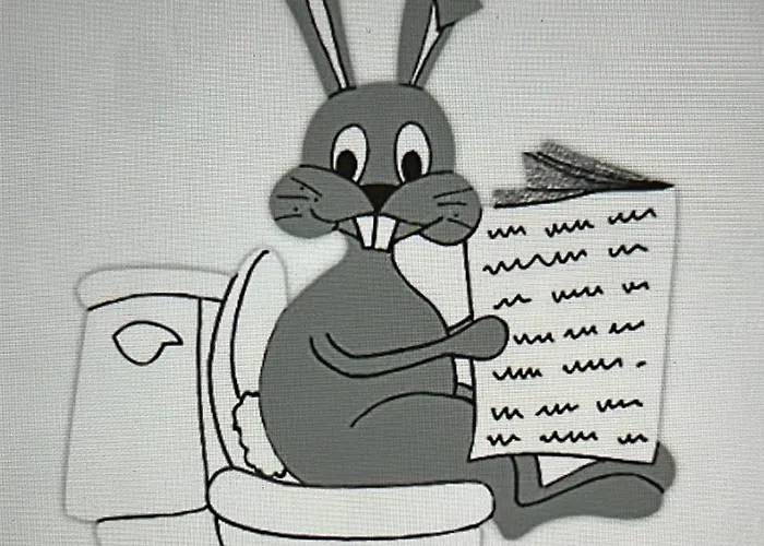 La Libellule 160 M2 Avec 5 2 Sdb 2 Wc Grand Jardin De 1200m2 Et Parking Prive Toulouse