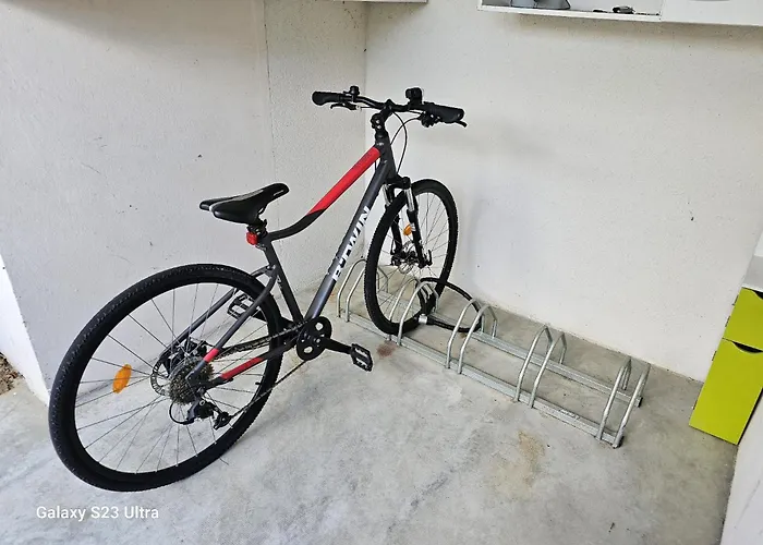 La Libellule 160 M2 Avec 5 2 Sdb 2 Wc Grand Jardin De 1200m2 Et Parking Prive Toulouse