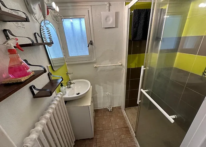 Penzion La Libellule 160 M2 Avec 5 2 Sdb 2 Wc Grand Jardin De 1200m2 Et Parking Prive Toulouse