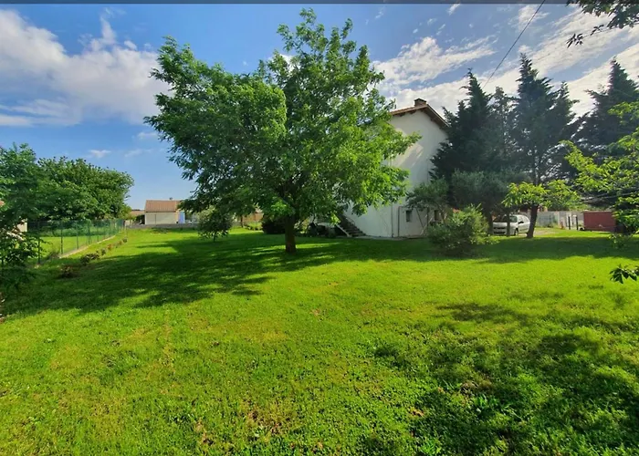 La Libellule 160 M2 Avec 5 2 Sdb 2 Wc Grand Jardin De 1200m2 Et Parking Prive *