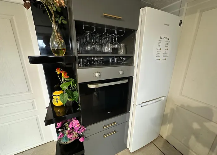 La Libellule 160 M2 Avec 5 2 Sdb 2 Wc Grand Jardin De 1200m2 Et Parking Prive Toulouse