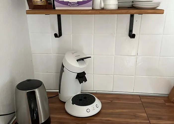 La Libellule 160 M2 Avec 5 2 Sdb 2 Wc Grand Jardin De 1200m2 Et Parking Prive Penzion Toulouse